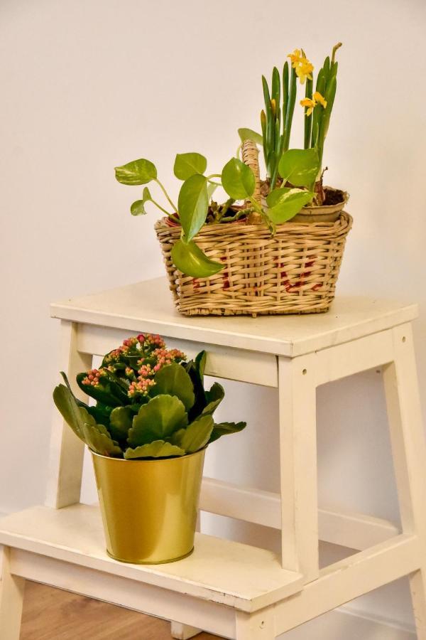 Your Home In Seville Ngoại thất bức ảnh